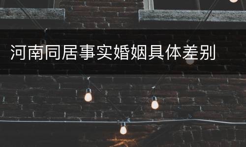 河南同居事实婚姻具体差别