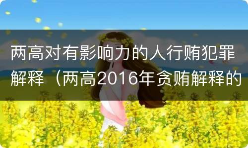 两高对有影响力的人行贿犯罪解释（两高2016年贪贿解释的理解与适用）