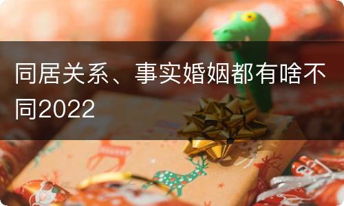 同居关系、事实婚姻都有啥不同2022