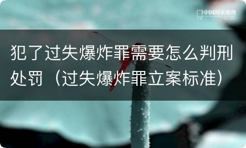 犯了过失爆炸罪需要怎么判刑处罚（过失爆炸罪立案标准）