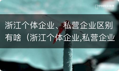 浙江个体企业、私营企业区别有啥（浙江个体企业,私营企业区别有啥特点）