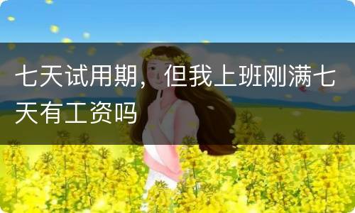 七天试用期，但我上班刚满七天有工资吗