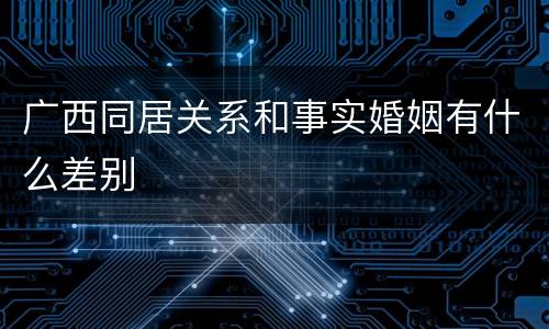 广西同居关系和事实婚姻有什么差别