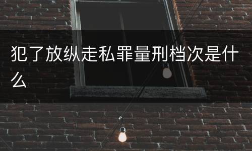 犯了放纵走私罪量刑档次是什么