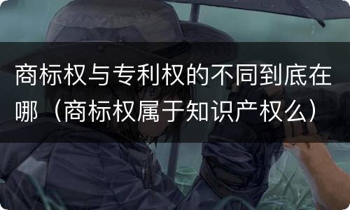 商标权与专利权的不同到底在哪（商标权属于知识产权么）