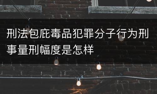 刑法包庇毒品犯罪分子行为刑事量刑幅度是怎样