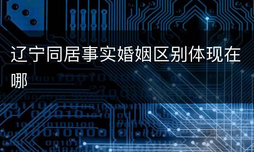 辽宁同居事实婚姻区别体现在哪