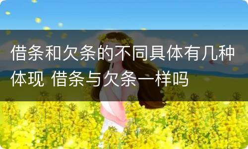 借条和欠条的不同具体有几种体现 借条与欠条一样吗