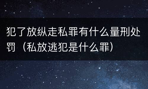 犯了放纵走私罪有什么量刑处罚（私放逃犯是什么罪）