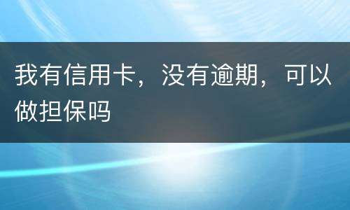 我有信用卡，没有逾期，可以做担保吗