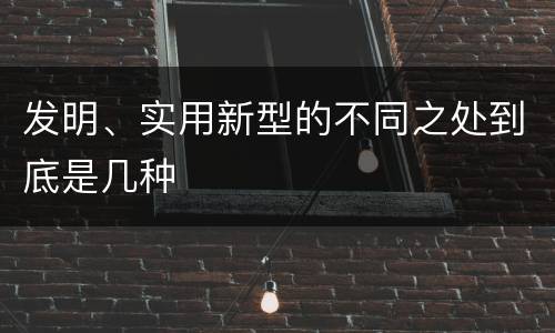 发明、实用新型的不同之处到底是几种