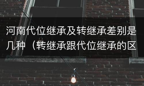 河南代位继承及转继承差别是几种（转继承跟代位继承的区别）