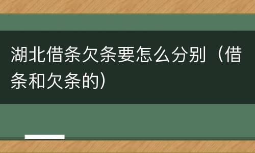 湖北借条欠条要怎么分别（借条和欠条的）