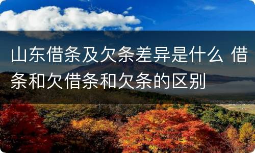 山东借条及欠条差异是什么 借条和欠借条和欠条的区别