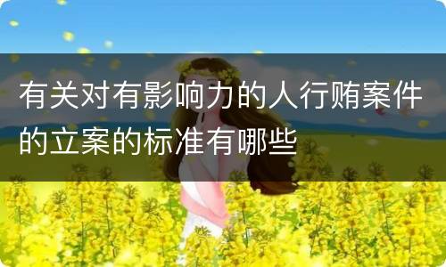 有关对有影响力的人行贿案件的立案的标准有哪些