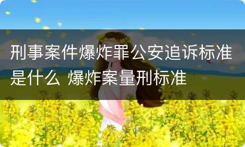 刑事案件爆炸罪公安追诉标准是什么 爆炸案量刑标准