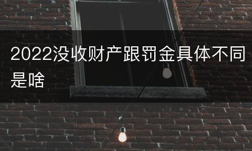 2022没收财产跟罚金具体不同是啥