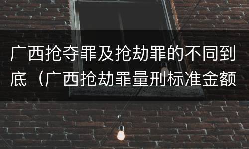 广西抢夺罪及抢劫罪的不同到底（广西抢劫罪量刑标准金额）