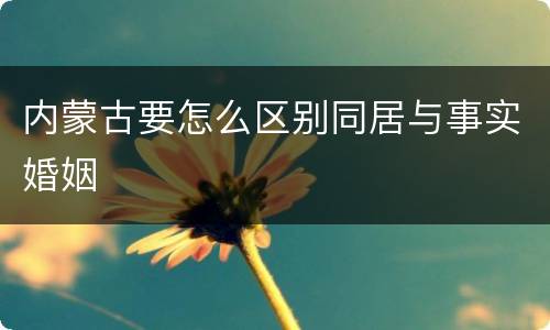 内蒙古要怎么区别同居与事实婚姻