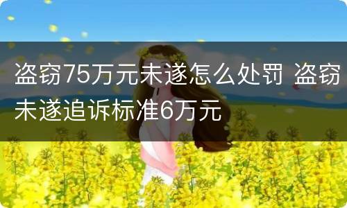 盗窃75万元未遂怎么处罚 盗窃未遂追诉标准6万元