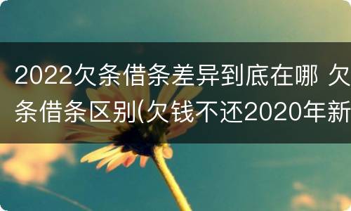 2022欠条借条差异到底在哪 欠条借条区别(欠钱不还2020年新规 - 法律之家