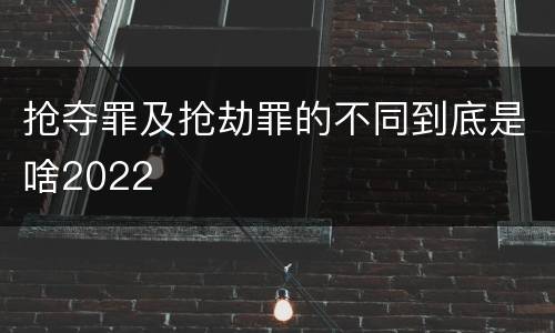 抢夺罪及抢劫罪的不同到底是啥2022
