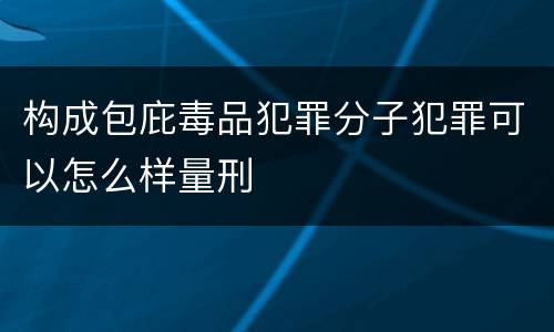 构成包庇毒品犯罪分子犯罪可以怎么样量刑