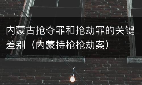 内蒙古抢夺罪和抢劫罪的关键差别（内蒙持枪抢劫案）