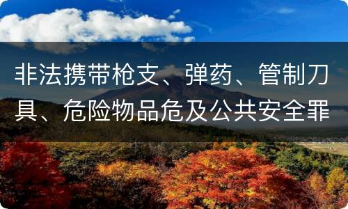 非法携带枪支、弹药、管制刀具、危险物品危及公共安全罪立案条件是什么