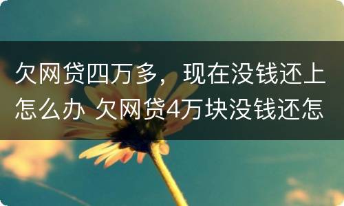 欠网贷四万多，现在没钱还上怎么办 欠网贷4万块没钱还怎么办