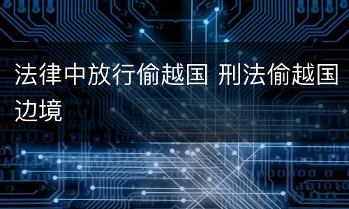 法律中放行偷越国 刑法偷越国边境