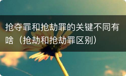 抢夺罪和抢劫罪的关键不同有啥（抢劫和抢劫罪区别）