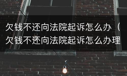 欠钱不还向法院起诉怎么办（欠钱不还向法院起诉怎么办理）