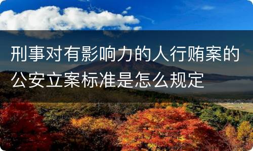 刑事对有影响力的人行贿案的公安立案标准是怎么规定
