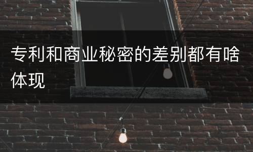 专利和商业秘密的差别都有啥体现