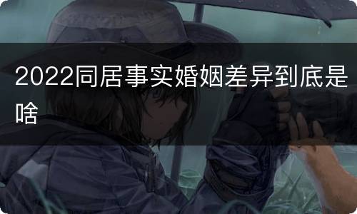 2022同居事实婚姻差异到底是啥