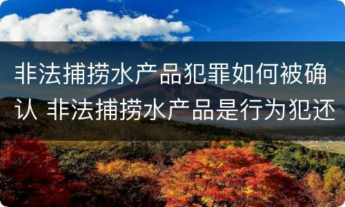 非法捕捞水产品犯罪如何被确认 非法捕捞水产品是行为犯还是结果犯