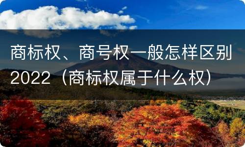 商标权、商号权一般怎样区别2022（商标权属于什么权）