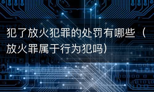 犯了放火犯罪的处罚有哪些（放火罪属于行为犯吗）