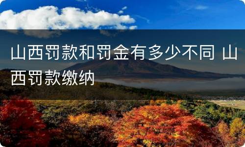 山西罚款和罚金有多少不同 山西罚款缴纳
