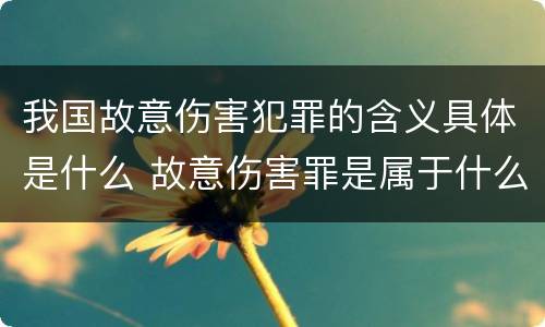 我国故意伤害犯罪的含义具体是什么 故意伤害罪是属于什么犯罪类型