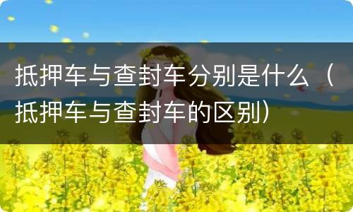 抵押车与查封车分别是什么（抵押车与查封车的区别）