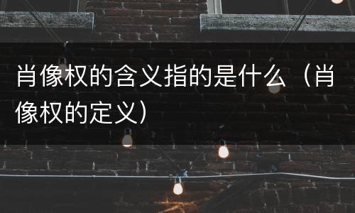 肖像权的含义指的是什么（肖像权的定义）