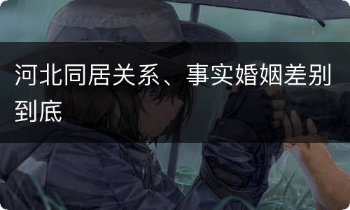 河北同居关系、事实婚姻差别到底