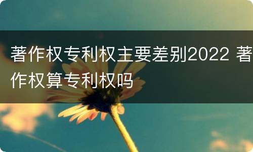 著作权专利权主要差别2022 著作权算专利权吗