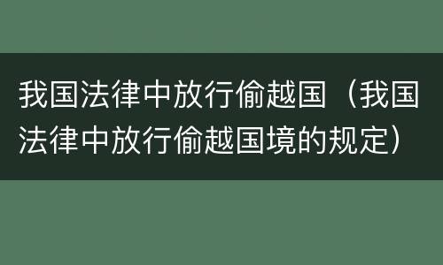 我国法律中放行偷越国（我国法律中放行偷越国境的规定）