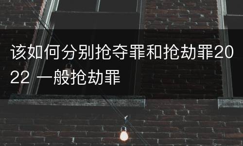 该如何分别抢夺罪和抢劫罪2022 一般抢劫罪