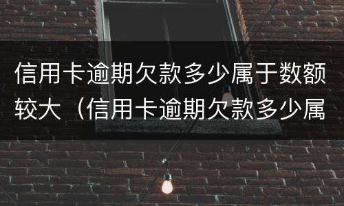 信用卡逾期欠款多少属于数额较大（信用卡逾期欠款多少属于数额较大的案件）