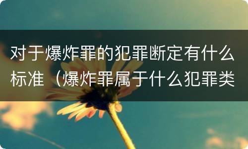 对于爆炸罪的犯罪断定有什么标准（爆炸罪属于什么犯罪类型）