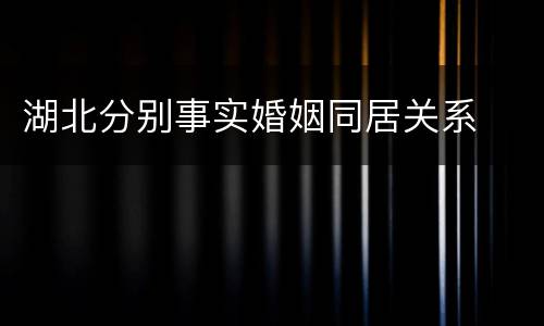 湖北分别事实婚姻同居关系